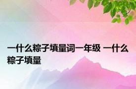 一什么粽子填量词一年级 一什么粽子填量