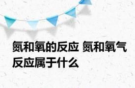 氮和氧的反应 氮和氧气反应属于什么