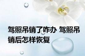 驾照吊销了咋办 驾照吊销后怎样恢复