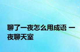 聊了一夜怎么用成语 一夜聊天室 