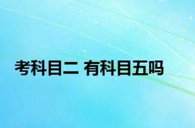 考科目二 有科目五吗