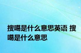 搜噶是什么意思英语 搜噶是什么意思