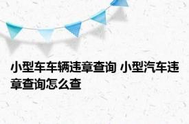 小型车车辆违章查询 小型汽车违章查询怎么查