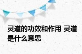 灵道的功效和作用 灵道是什么意思