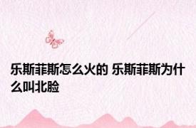 乐斯菲斯怎么火的 乐斯菲斯为什么叫北脸