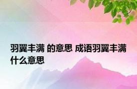 羽翼丰满 的意思 成语羽翼丰满什么意思