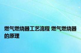 燃气燃烧器工艺流程 燃气燃烧器的原理