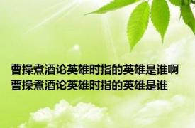 曹操煮酒论英雄时指的英雄是谁啊 曹操煮酒论英雄时指的英雄是谁