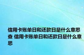 信用卡账单日和还款日是什么意思查 信用卡账单日和还款日是什么意思