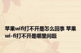 苹果wifi打不开是怎么回事 苹果wi-fi打不开是哪里问题