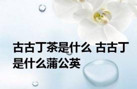 古古丁茶是什么 古古丁是什么蒲公英