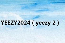 YEEZY2024（yeezy 2）