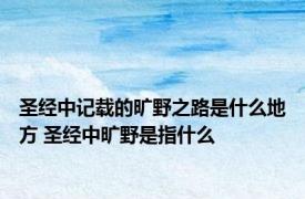 圣经中记载的旷野之路是什么地方 圣经中旷野是指什么