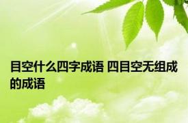 目空什么四字成语 四目空无组成的成语