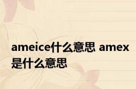 ameice什么意思 amex是什么意思