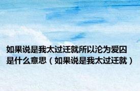 如果说是我太过迁就所以沦为爱囚是什么意思（如果说是我太过迁就）