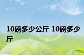 10磅多少公斤 10磅多少斤