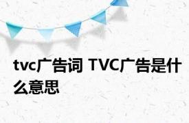 tvc广告词 TVC广告是什么意思