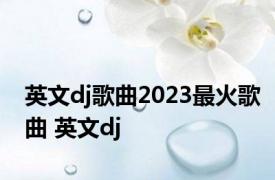 英文dj歌曲2023最火歌曲 英文dj 