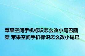 苹果空间手机标识怎么改小尾巴图案 苹果空间手机标识怎么改小尾巴