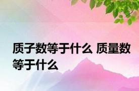 质子数等于什么 质量数等于什么