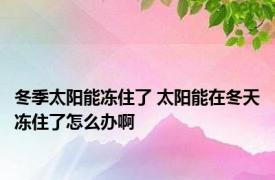 冬季太阳能冻住了 太阳能在冬天冻住了怎么办啊