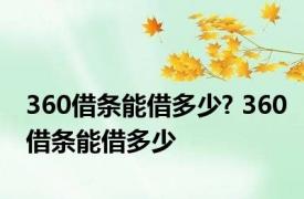 360借条能借多少? 360借条能借多少