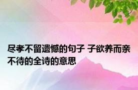 尽孝不留遗憾的句子 子欲养而亲不待的全诗的意思