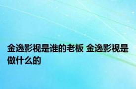 金逸影视是谁的老板 金逸影视是做什么的