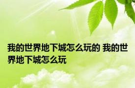 我的世界地下城怎么玩的 我的世界地下城怎么玩