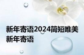 新年寄语2024简短唯美 新年寄语