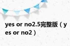 yes or no2.5完整版（yes or no2）