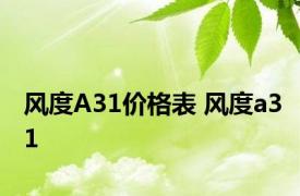 风度A31价格表 风度a31 