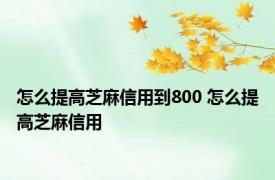 怎么提高芝麻信用到800 怎么提高芝麻信用