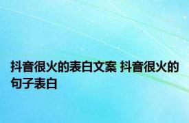 抖音很火的表白文案 抖音很火的句子表白