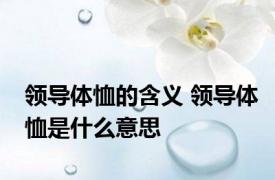 领导体恤的含义 领导体恤是什么意思