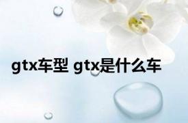 gtx车型 gtx是什么车