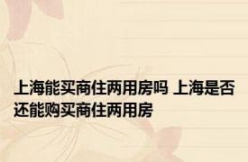 上海能买商住两用房吗 上海是否还能购买商住两用房