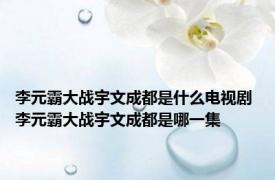 李元霸大战宇文成都是什么电视剧 李元霸大战宇文成都是哪一集