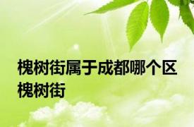 槐树街属于成都哪个区 槐树街 