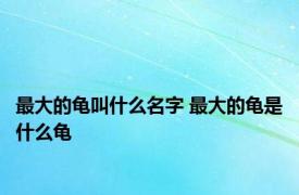 最大的龟叫什么名字 最大的龟是什么龟