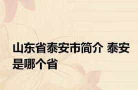 山东省泰安市简介 泰安是哪个省