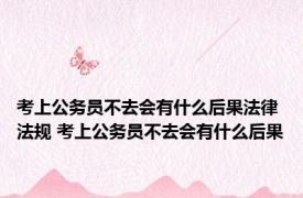 考上公务员不去会有什么后果法律法规 考上公务员不去会有什么后果