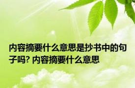 内容摘要什么意思是抄书中的句子吗? 内容摘要什么意思