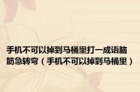 手机不可以掉到马桶里打一成语脑筋急转弯（手机不可以掉到马桶里）