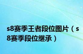 s8赛季王者段位图片（s8赛季段位继承）