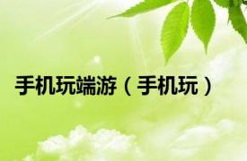 手机玩端游（手机玩）