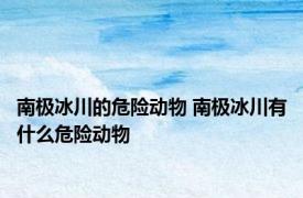 南极冰川的危险动物 南极冰川有什么危险动物