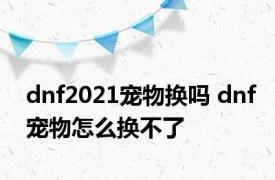 dnf2021宠物换吗 dnf宠物怎么换不了 