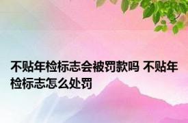 不贴年检标志会被罚款吗 不贴年检标志怎么处罚